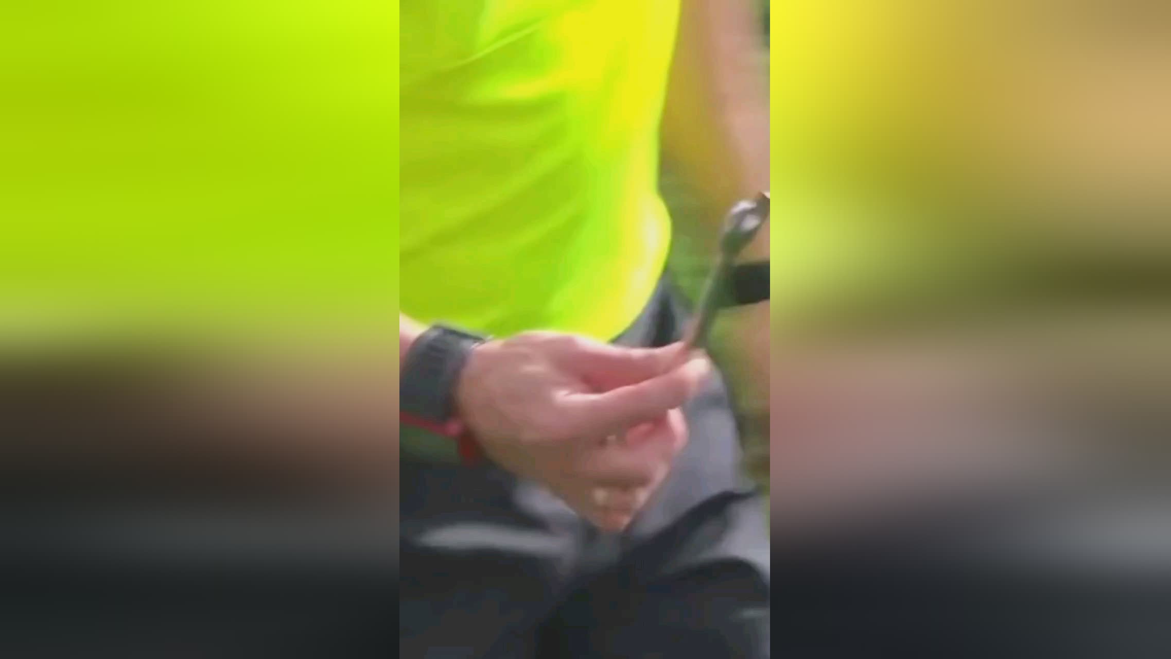 今天我们就