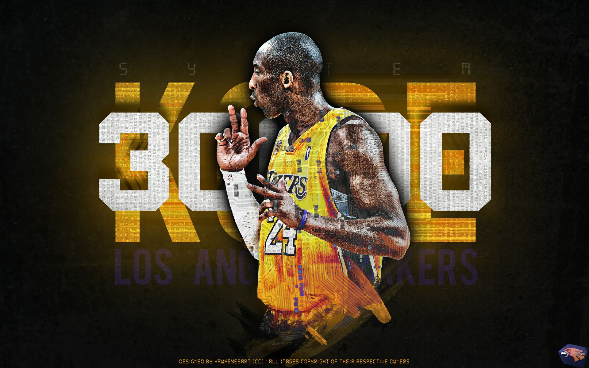 向余望的赛 向余望的赛