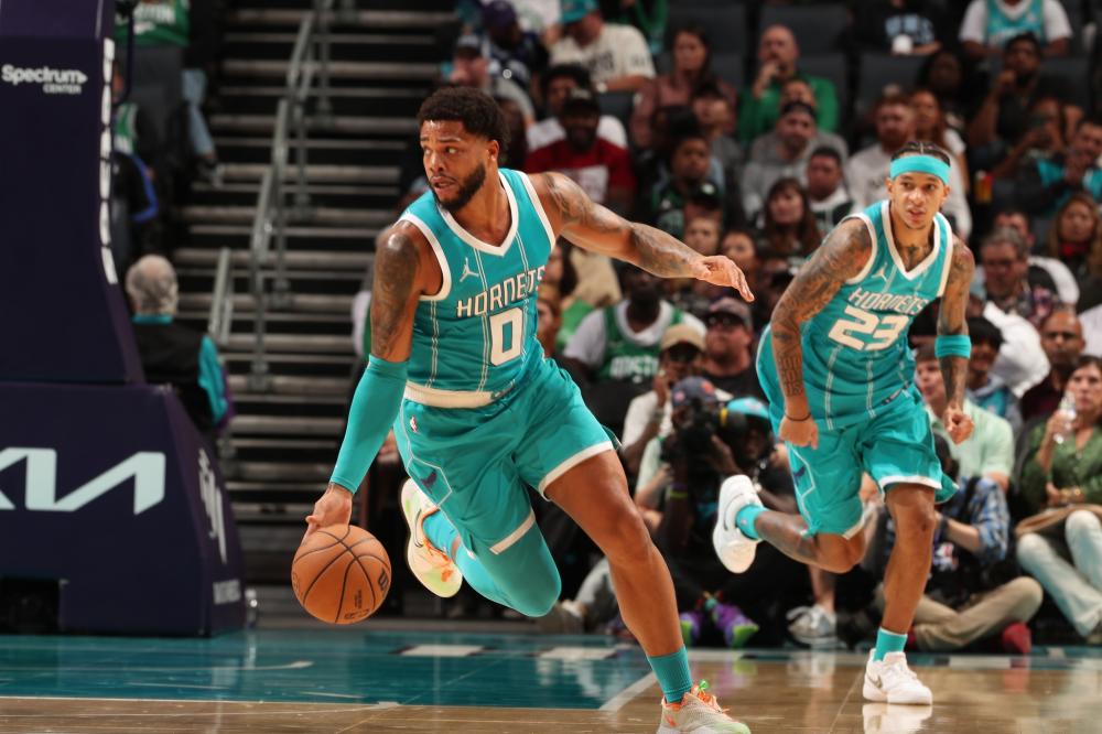 篱或堆放石 篱或堆放石